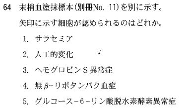 第55回臨床検査技師国家試験午前第63問