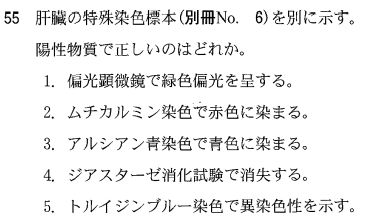 第55回臨床検査技師国家試験午後第54問